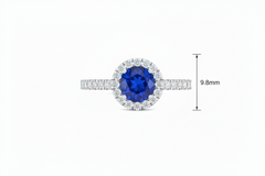 Sapphire With Four-Prong Halo