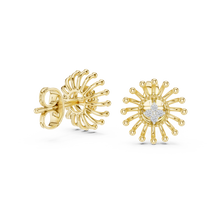 Load image into Gallery viewer, Yellow Gold