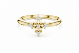 Symbolic Star Diamond Sacred Cross