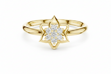 Load image into Gallery viewer, Yellow Gold 