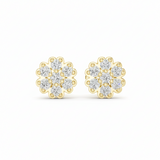Botanical Cluster Organic Diamond Splendour