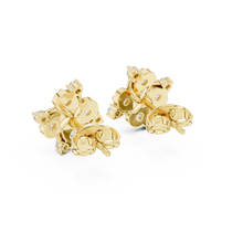 Load image into Gallery viewer, Yellow Gold