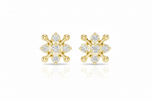 Load image into Gallery viewer, Yellow Gold