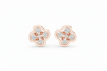 Load image into Gallery viewer, Rose Gold
