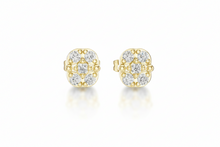 Load image into Gallery viewer, Yellow Gold