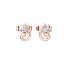 Load image into Gallery viewer, Rose Gold