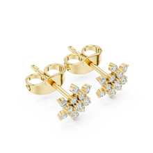Load image into Gallery viewer, Yellow Gold