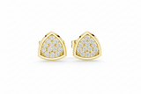 Luminous Shield-Shape Diamond