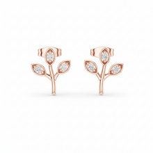 Load image into Gallery viewer, Rose Gold