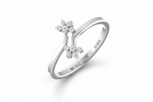 Load image into Gallery viewer, White Gold