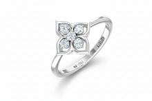 Load image into Gallery viewer, White Gold