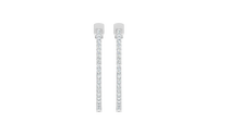 Load image into Gallery viewer, White Gold