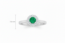 Load image into Gallery viewer, White Gold