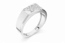 Load image into Gallery viewer, White Gold