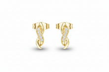 Load image into Gallery viewer, Yellow Gold