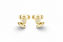 Load image into Gallery viewer, Yellow Gold
