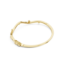 Load image into Gallery viewer, Yellow Gold
